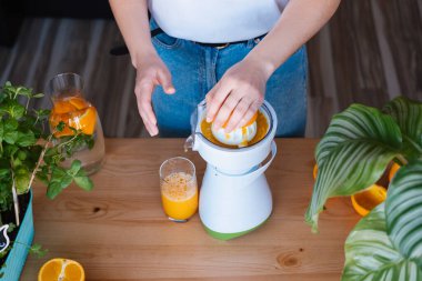 Bitkilerle dolu bir mutfakta taze portakal suyu yapan bir kadın..