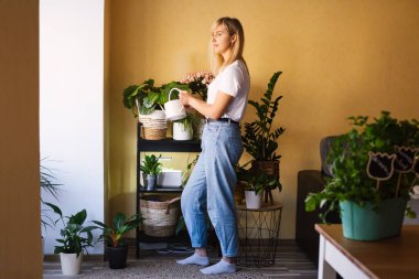 Woman waters houseplants. Lots of plants in a cozy modern flat.