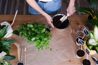 Esrara nane eken tanınmamış bir kadın..