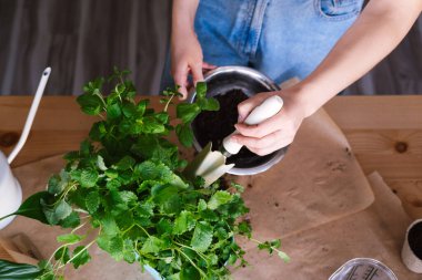 Esrara nane eken tanınmamış bir kadın..
