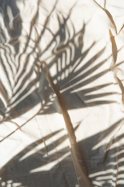 Shadow of palm leaf over beige surface. Top view of picnic blanket with tropical shadow.