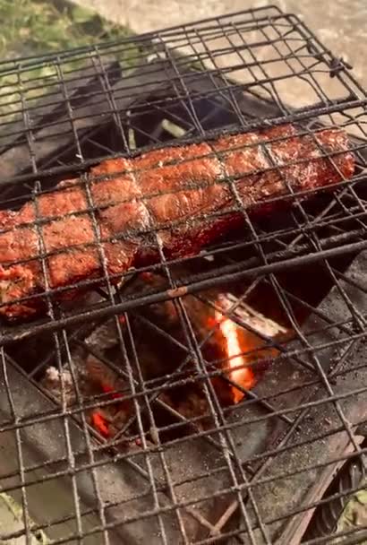 Tutup Sepotong Daging Barbeque Ikan Ofr Pada Panggangan Dengan Api — Stok Video