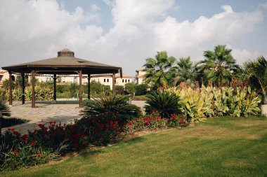 Yeni Kahire, Mısır - 11.21.2021: Madinaty yerleşkesinin villalarında güzel çiçek çalıları ve bahçe evleri, Mısır 'da lüks içinde yaşamak