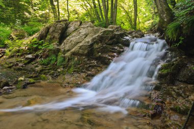 Rapid ile küçük dere