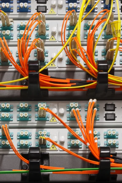 bir yönlendiriciye bağlı fiber optik kablolar