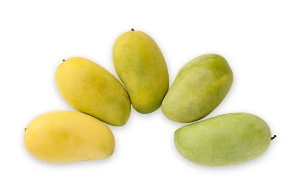 Mango form sarı yeşil olgunlaşmak