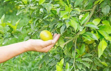 gaz kesme, kaynak, gaz kesme ile çalışan gaz