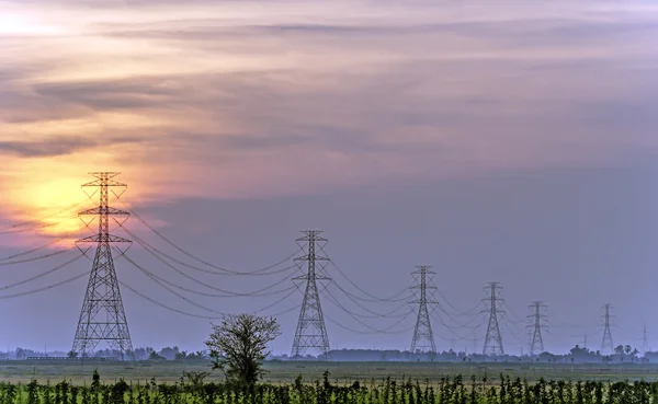 Electric power line in the field on sunset — Stock Photo, Image