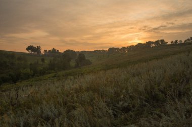 Gün batımı veya orman ortamındaki gündoğumu. Doğal güneş ışığı ile güneş güneş ve güneş ışınları yaz ormandaki orman ağaçları ile. Güzel doğal görünümü.