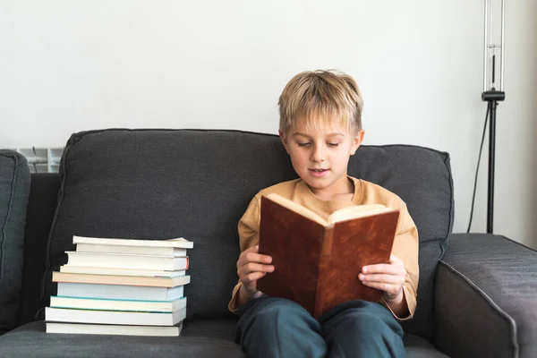 Cute schoolboy reading book on sofa — 图库照片