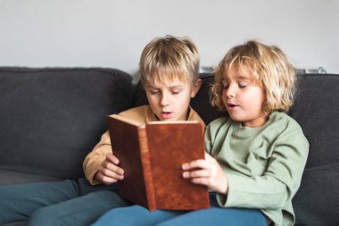 Adorable children reading textbook together on couch