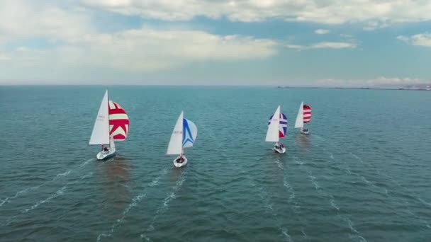Hava görüntüsü. Yelkenli yat yarışmaları. Denizde renkli yelkenler. — Stok video