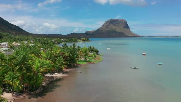 Flygfoto solig dag tid. Närbild flyga över palmer mangrove skog och vacker strand lagun. Beläget i Martinique — Stockvideo