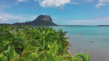 Mauritius 'ta tropik bir sahil. Palmiye ağaçları ve mavi şeffaf okyanusla dolu bir sahil. Hava görünümü