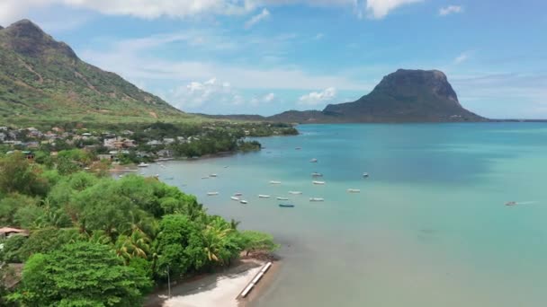 Flygfoto solig dag tid. Närbild flyga över palmer mangrove skog och vacker strand lagun. Beläget i Martinique — Stockvideo