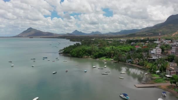 Αεροφωτογραφία, ηλιόλουστη μέρα. Κοντινό πλάνο πετούν πάνω από φοίνικες mangrove δάσος και όμορφη λιμνοθάλασσα παραλία. Βρίσκεται στο Martinique — Αρχείο Βίντεο