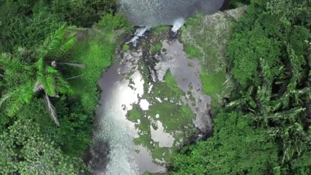 Καταρράκτης και Ποταμός στην 'γρια Φύση. Δάσος βράχια με ένα βρυχηθμό ρεύμα τρέχει. Τοπίο καταρράκτη. Αεροφωτογραφία — Αρχείο Βίντεο