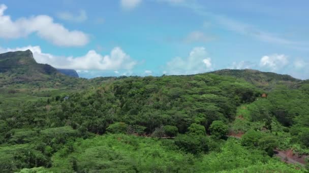 Paisagem de uma ilha pacífica com lagoa em vista aérea. Selva verde. — Vídeo de Stock