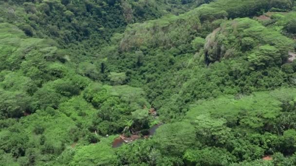 Krajobraz pacyficznej wyspy z laguną w widoku z powietrza. Zielona dżungla. — Wideo stockowe