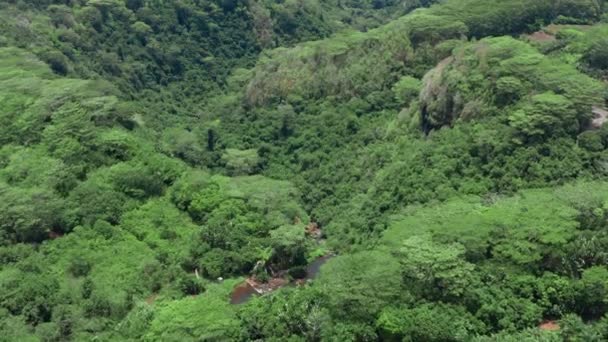 Landschap van een pacific eiland met lagune in de lucht uitzicht. Groene jungle. — Stockvideo