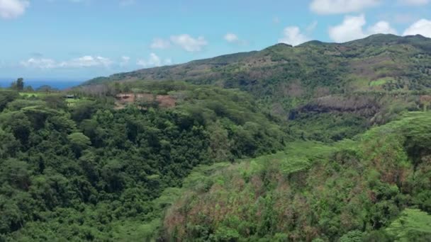 Landscape of a pacific island with lagoon in aerial view. Green jungle. — Stockvideo