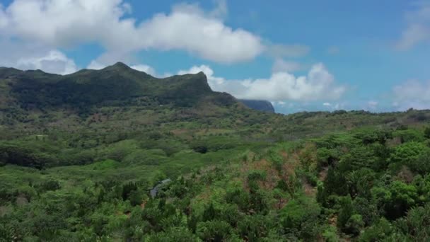Landschap van een pacific eiland met lagune in de lucht uitzicht. Groene jungle. — Stockvideo