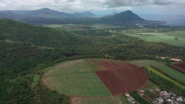 Yuvarlak alanlar. İnsansız hava aracı, dağ manzaralı çay çiftliğine yaklaşıyor. Mauritius adasındaki şeker kamışının yuvarlak tarlaları üzerinde hava manzarası — Stok video
