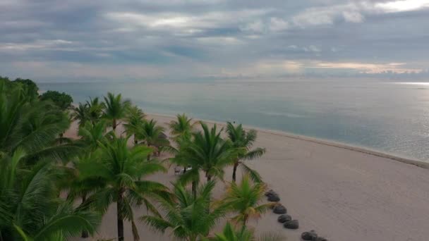 Playa panorámica en la isla caribeña para las vacaciones de verano, imágenes de vídeo aéreo del dron de Martinica, Antillas con hermosas aguas azules y costa arenosa. Playa con agua turquesa — Vídeo de stock