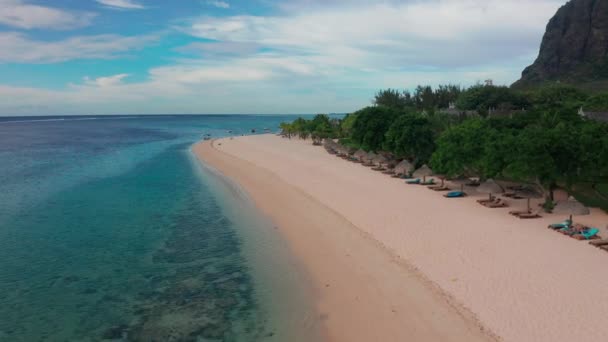 Γραφική παραλία στο νησί της Καραϊβικής για καλοκαιρινές διακοπές, Εναέρια βίντεο από drone της Μαρτινίκας, Αντίλλες με όμορφα καταγάλανα νερά και αμμώδη ακτογραμμή. Παραλία με τυρκουάζ νερά — Αρχείο Βίντεο