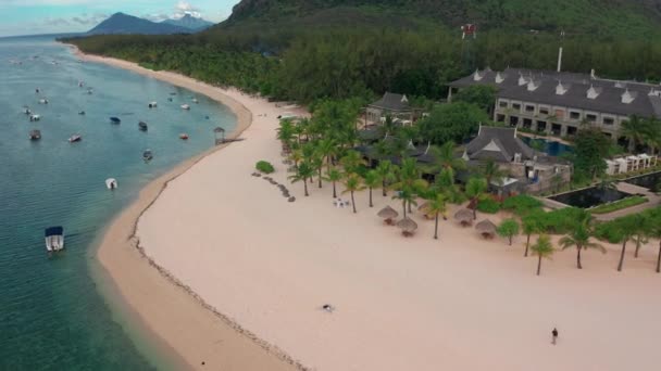Γραφική παραλία στο νησί της Καραϊβικής για καλοκαιρινές διακοπές, Εναέρια βίντεο από drone της Μαρτινίκας, Αντίλλες με όμορφα καταγάλανα νερά και αμμώδη ακτογραμμή. Παραλία με τυρκουάζ νερά — Αρχείο Βίντεο