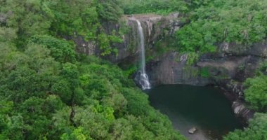 Hava görüntüsü. Ulusal Park 'ta yağmur mevsiminde tropikal nehir akıntısı, orman ve dağ üzerinden uçmak. Mauritius