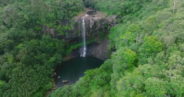 Hava görüntüsü. Ulusal Park 'ta yağmur mevsiminde tropikal nehir akıntısı, orman ve dağ üzerinden uçmak. Mauritius
