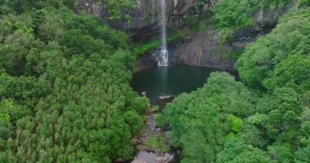 空中风景。美丽的瀑布落在岛上的绿色丛林里.从高高的悬崖上掉下的水 — 图库视频影像