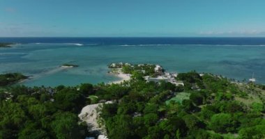 Hava görüntüsü. Birçok ağacı olan modern ve ekolojik yeşil alanlar. Bir sürü yeşil palmiye ve diğer bitkiler. Çevresel koruma. Yüksek kalite 4k görüntü