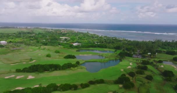 Aerial View Golf Course Putting Green Grass Trees Amazing Bird — Stock Video