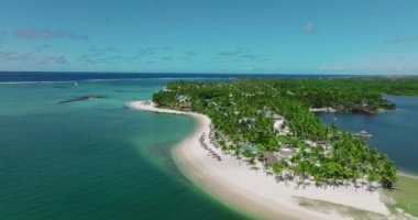 Hava görüntüsü. Birçok ağacı olan modern ve ekolojik yeşil alanlar. Bir sürü yeşil palmiye ve diğer bitkiler. Çevresel koruma. Yüksek kalite 4k görüntü