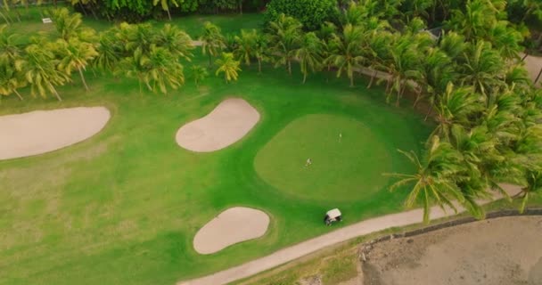 Flygfoto Golfbana Med Puttinggreen Gräs Och Träd Fantastisk Fågelperspektiv Över — Stockvideo