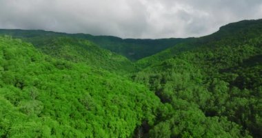 Dağlar arasındaki güzel tropikal vadinin havadan görünüşü. Gün batımının son ışınları yeşil ağaç taçlarına vurdu. Yüksek kalite 4k görüntü