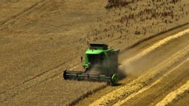 Tarlada yeşil modern hasat makinesi. Gün batımında buğday kulaklı tarla, gıda krizi ve dünya açlık konsepti, büyüyen buğday filizleri, hasat problemi. Yüksek kalite 4k görüntü