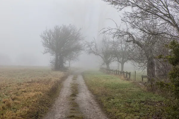 Dichter Nebel — Stockfoto