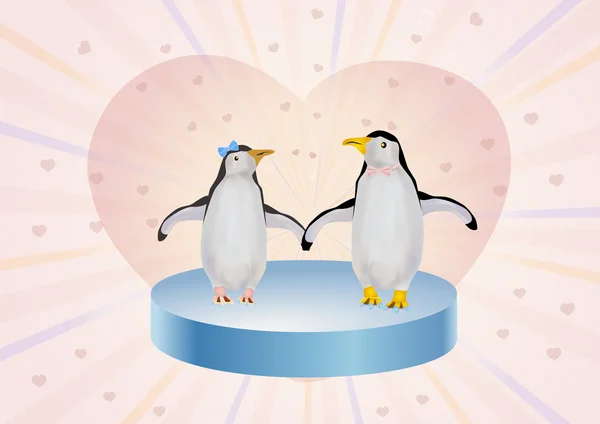 Penguenler aşık
