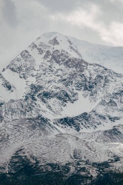 Altai 'deki dağ sırasının karla kaplı zirveleri