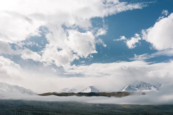 Altai Deki Karla Kaplı Orman Dağların Insansız Hava Aracı Görüntüsü — Stok fotoğraf