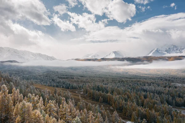 Altai Deki Karla Kaplı Orman Dağların Insansız Hava Aracı Görüntüsü — Stok fotoğraf