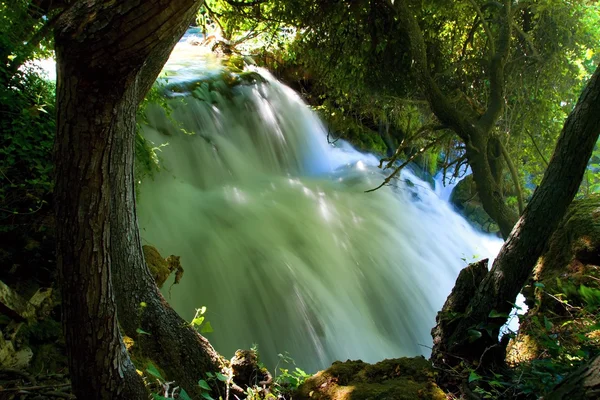 Cachoeiras de Krka — Fotografia de Stock