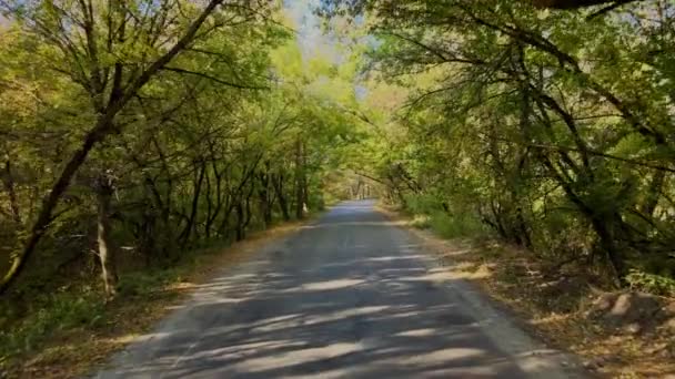 Herbststraße Mit Sonnenstrahlen — Stockvideo