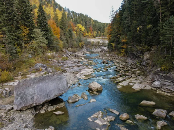Karpat Dağları'nda vahşi nehir