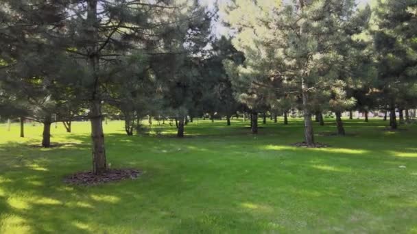 Apfelgarten Frühling Grüne Wälder Und Gras — Stockvideo