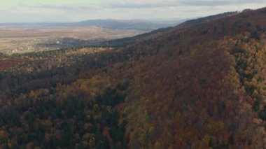 Vadideki Carpathian köyü. Ormanlı tepe