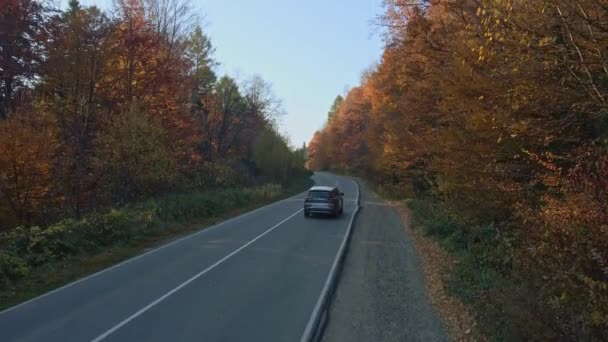 Fahren Auf Der Straße Herbstfarbener Weg — Stockvideo